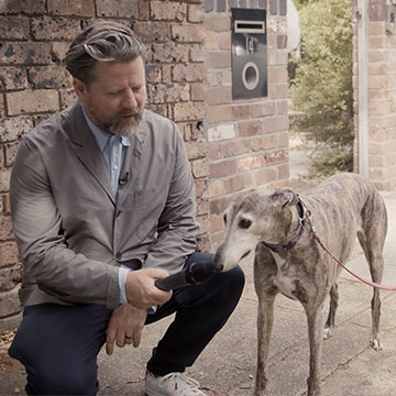 Tim Ross interviewing dog