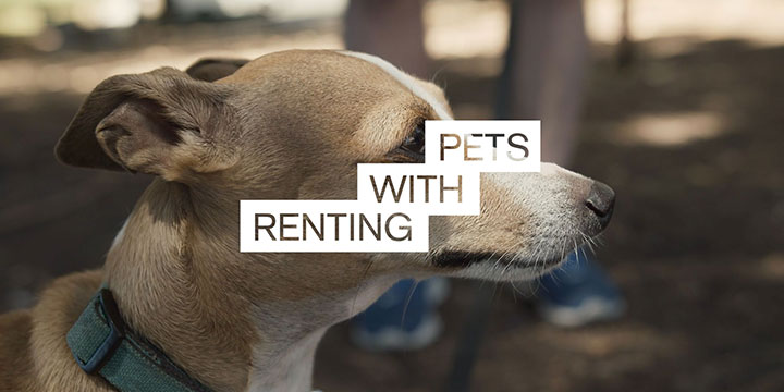 Mirvac LIV pets with renting