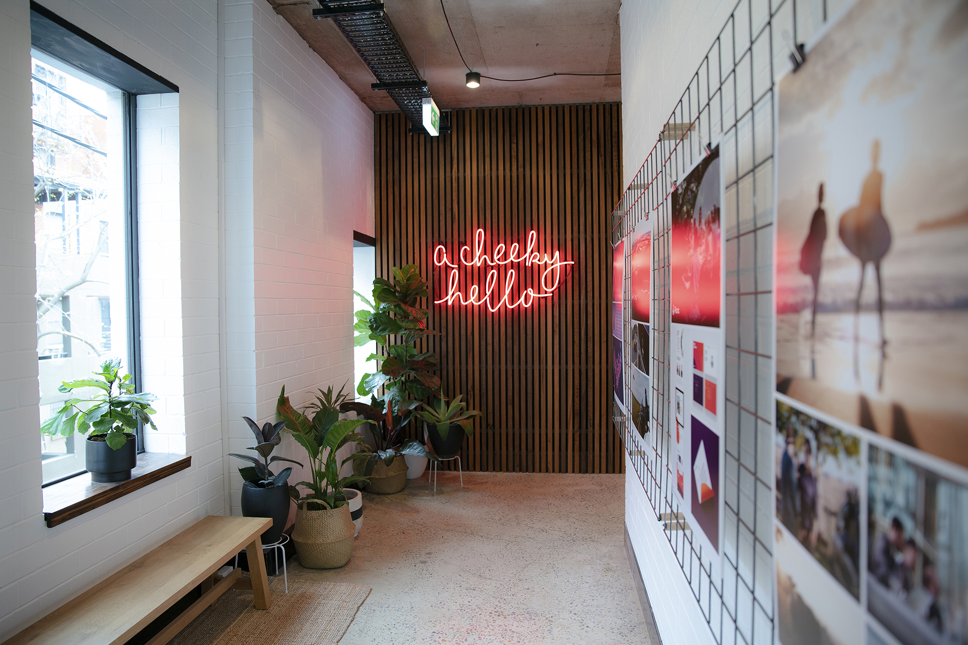 Chello office with neon sign