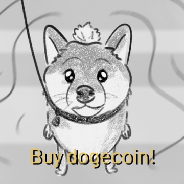 Storyboard of a shiba inu looking up at the camera for the Caleb & Brown campaign
